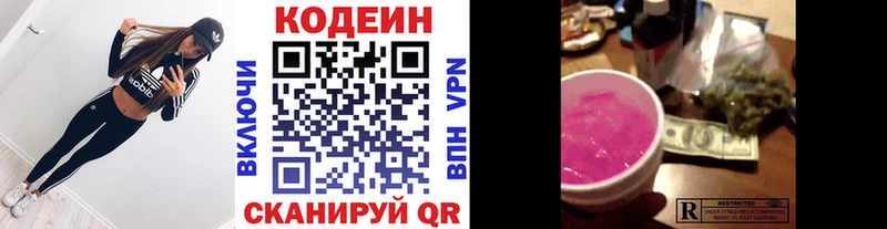 Купить закладки  Гатчина  Кодеиновый сироп Lean Purple Drank 