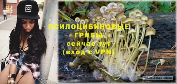 дмт Зерноград