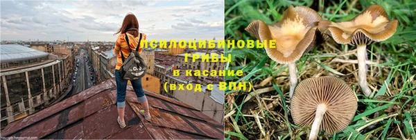 дмт Зерноград