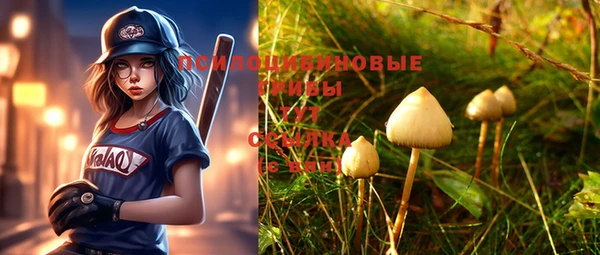 дмт Зерноград