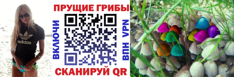 Псилоцибиновые грибы мицелий  Купить где  Гатчина 